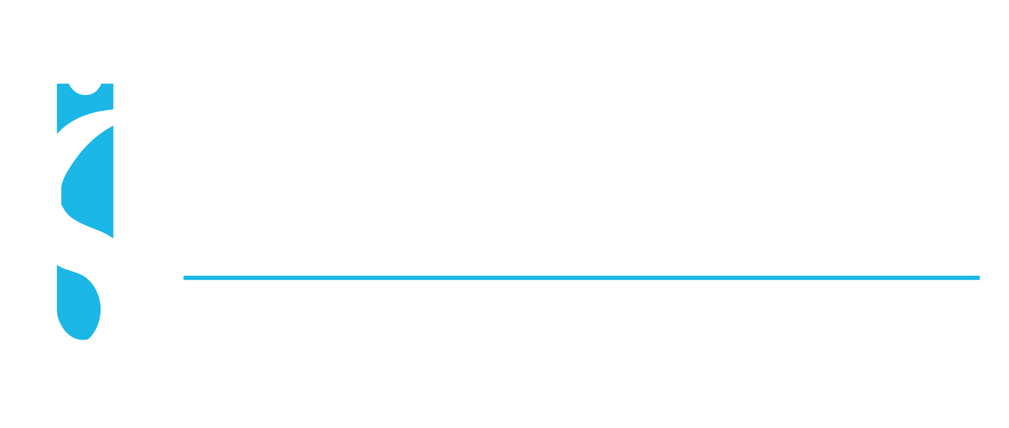 IntelliSolutions Group
